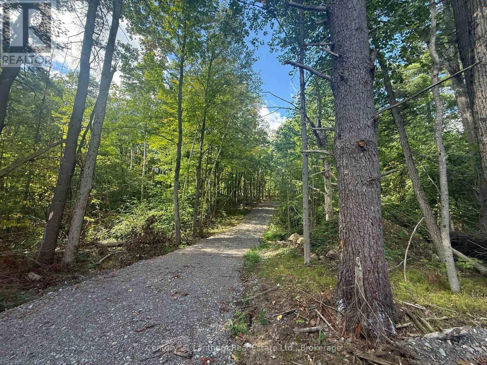 00 MIDDLE LOT HIGHWAY 62