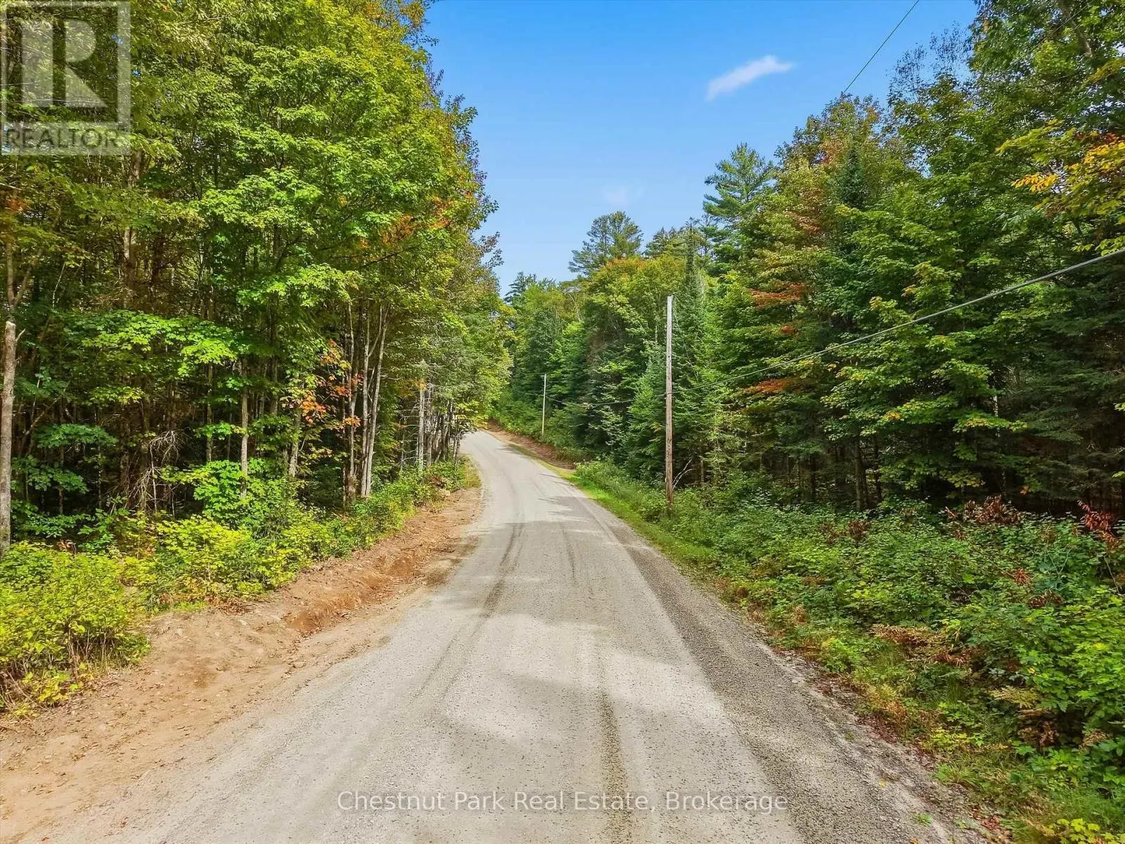00 PAINT LAKE ROAD