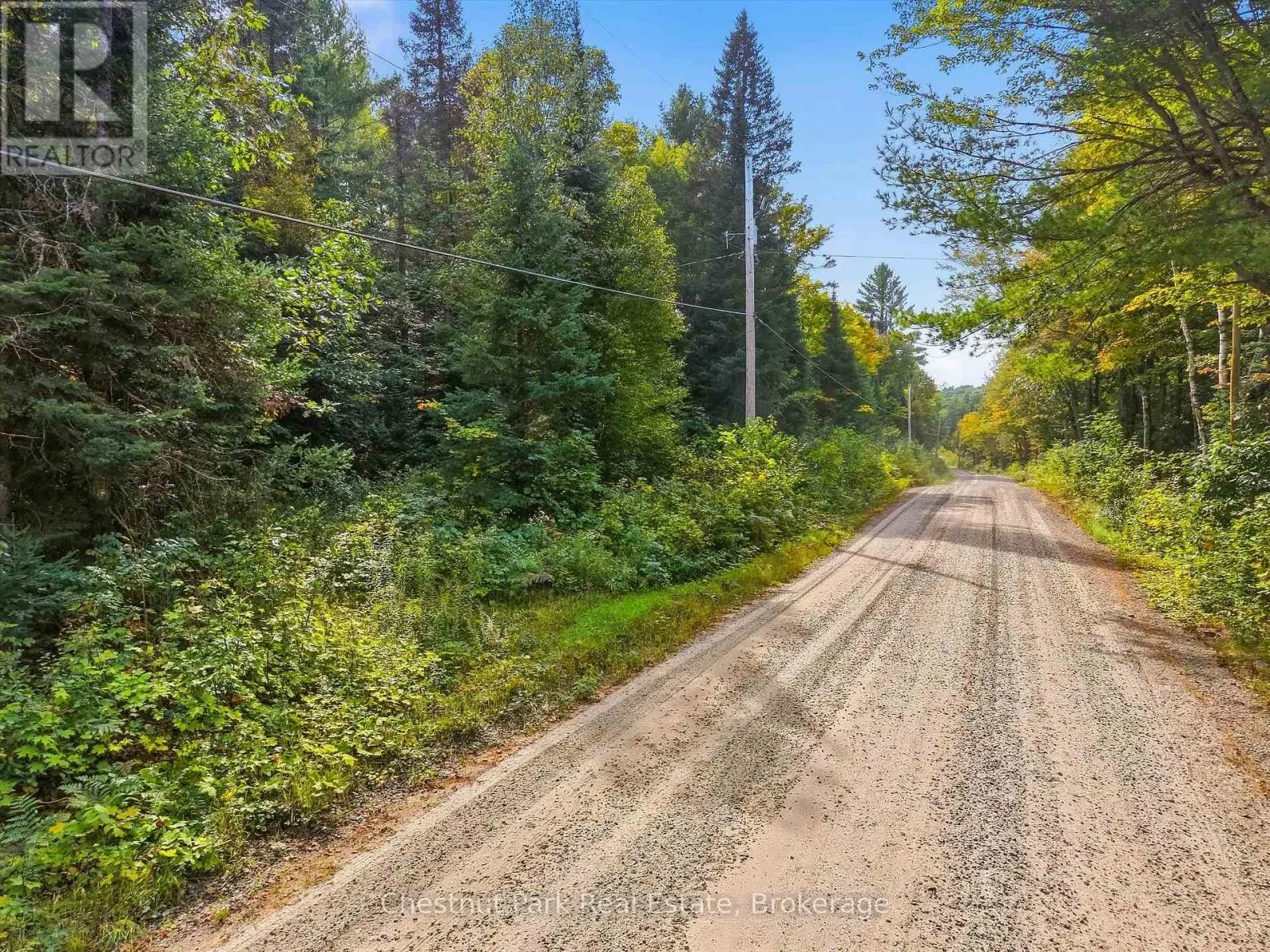 00 PAINT LAKE ROAD
