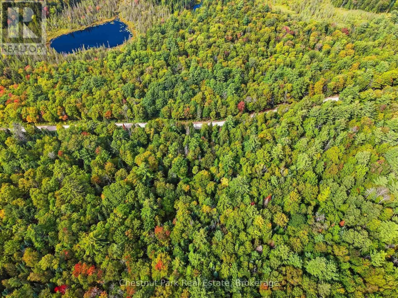 00 PAINT LAKE ROAD