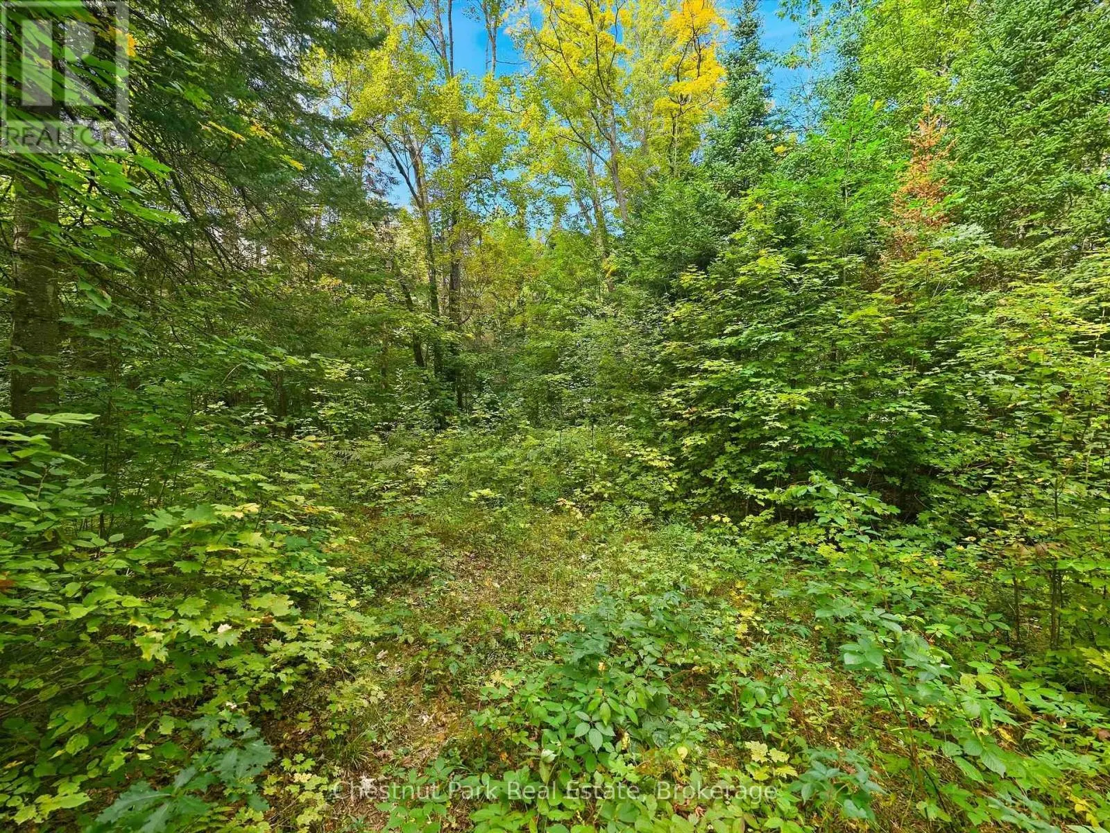 00 PAINT LAKE ROAD