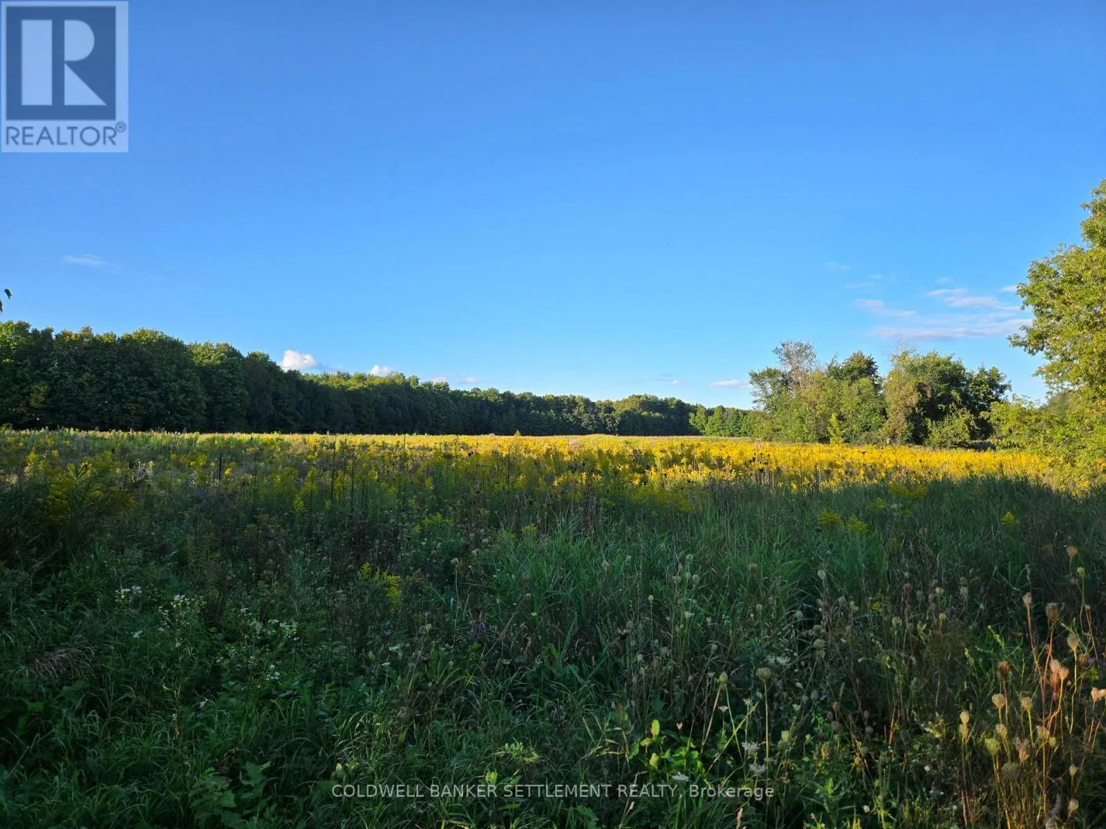 LOT 2 BUSH ROAD