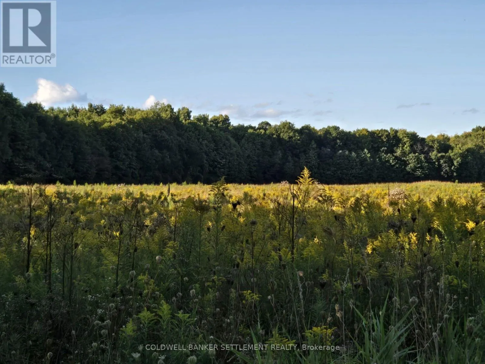 LOT 2 BUSH ROAD