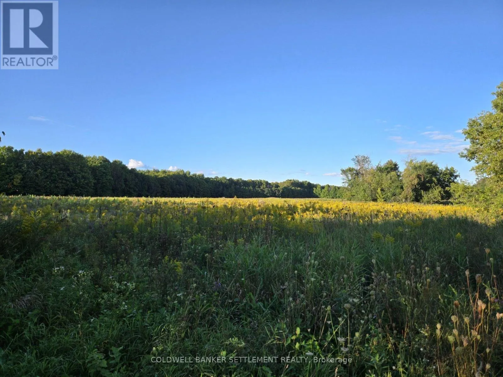 LOT 3 BUSH ROAD