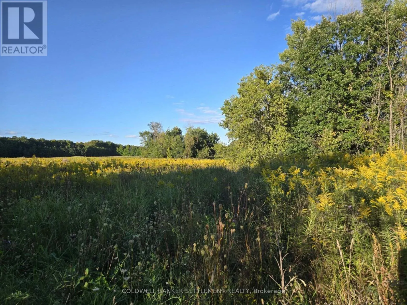 LOT 3 BUSH ROAD
