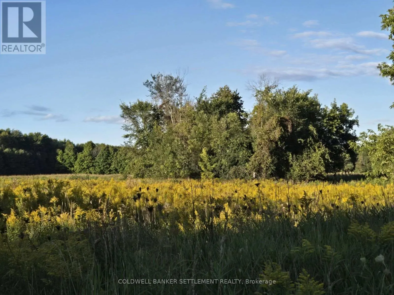 LOT 3 BUSH ROAD