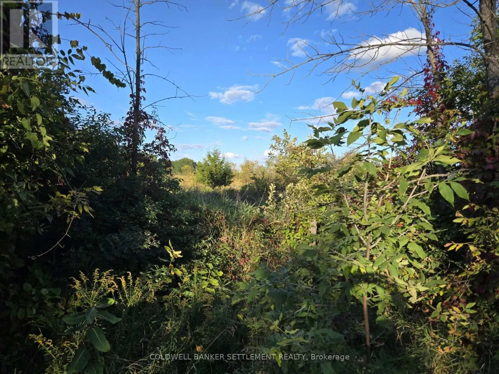 LOT 5 BUSH ROAD