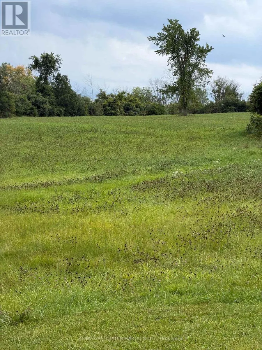 19512 GORE ROAD ACRES E