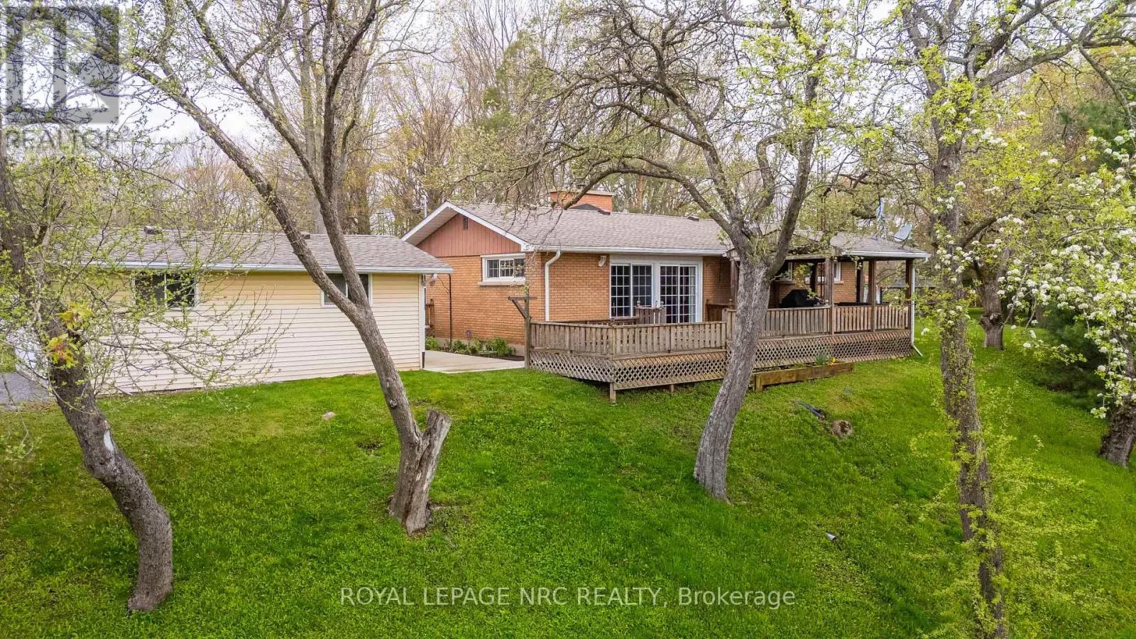 53 PEARSON ROAD
