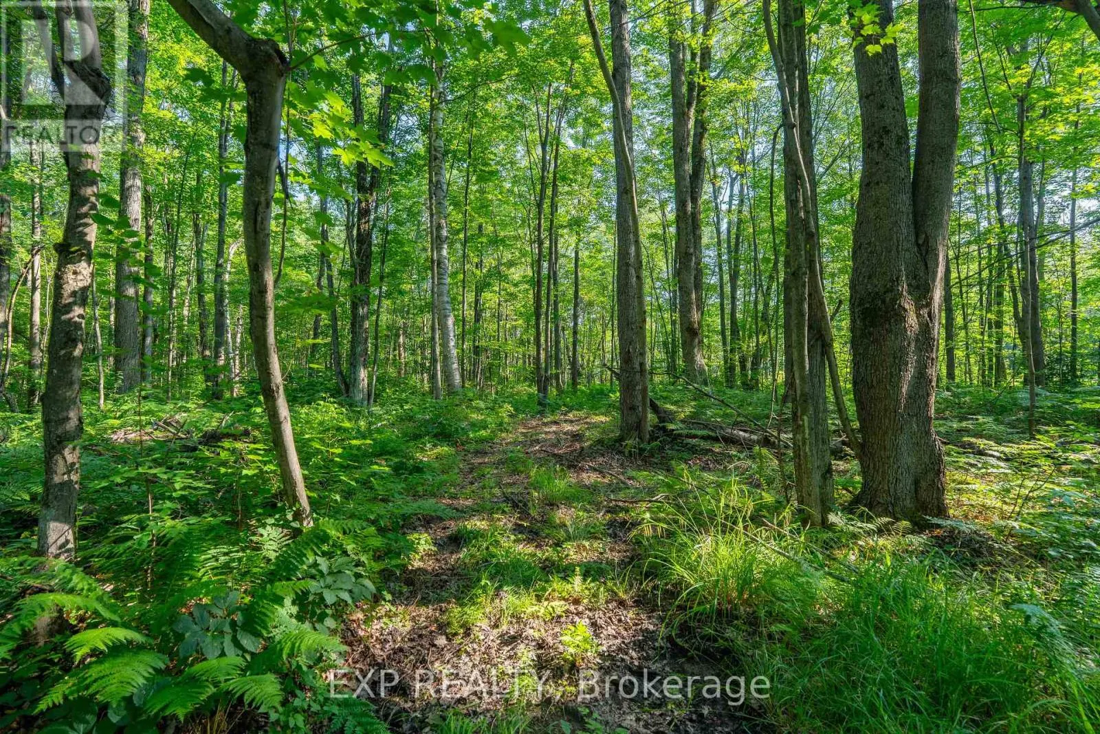 LOT 20 CONCESSION 4 ROAD