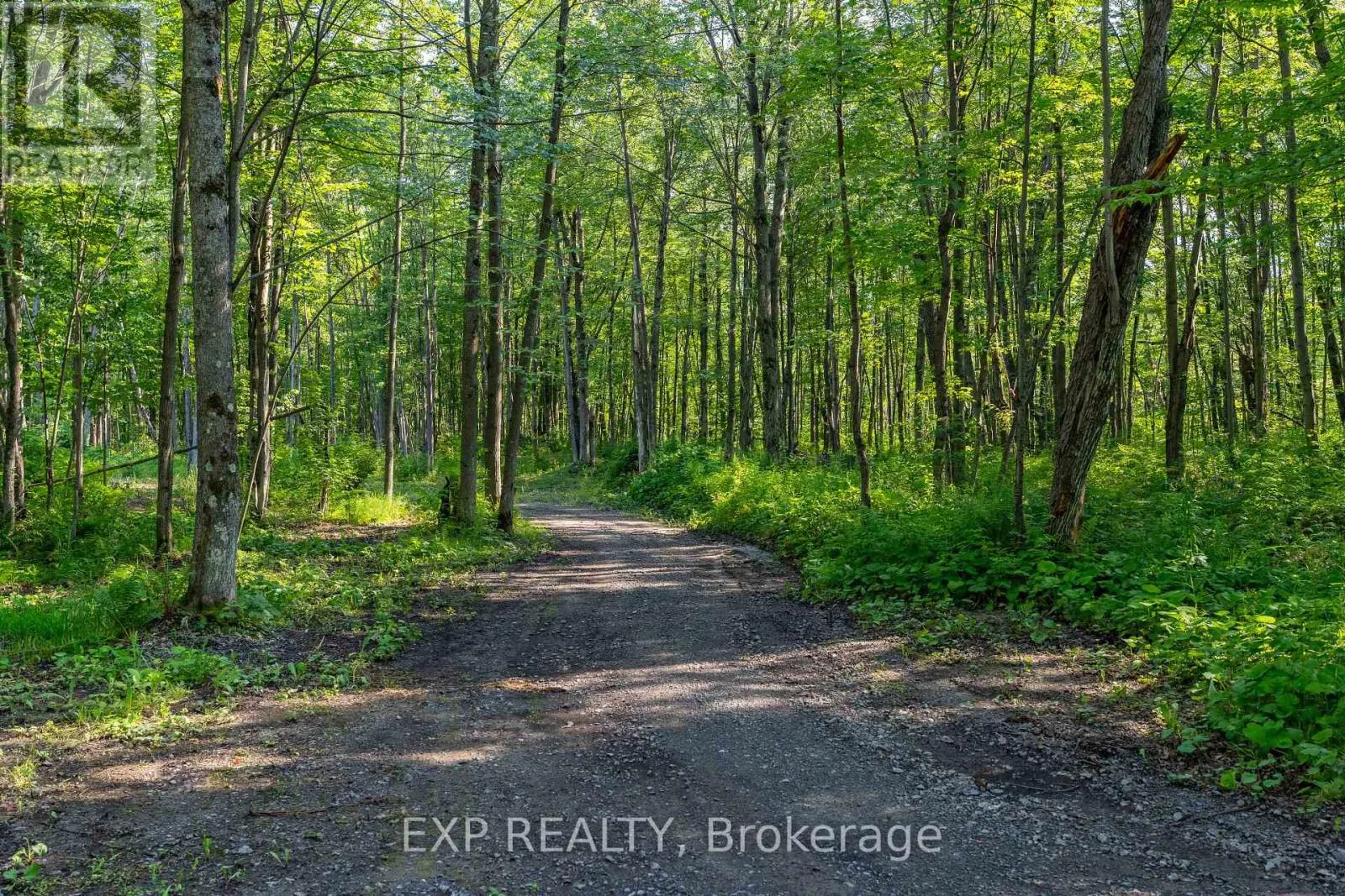 LOT 20 CONCESSION 4 ROAD