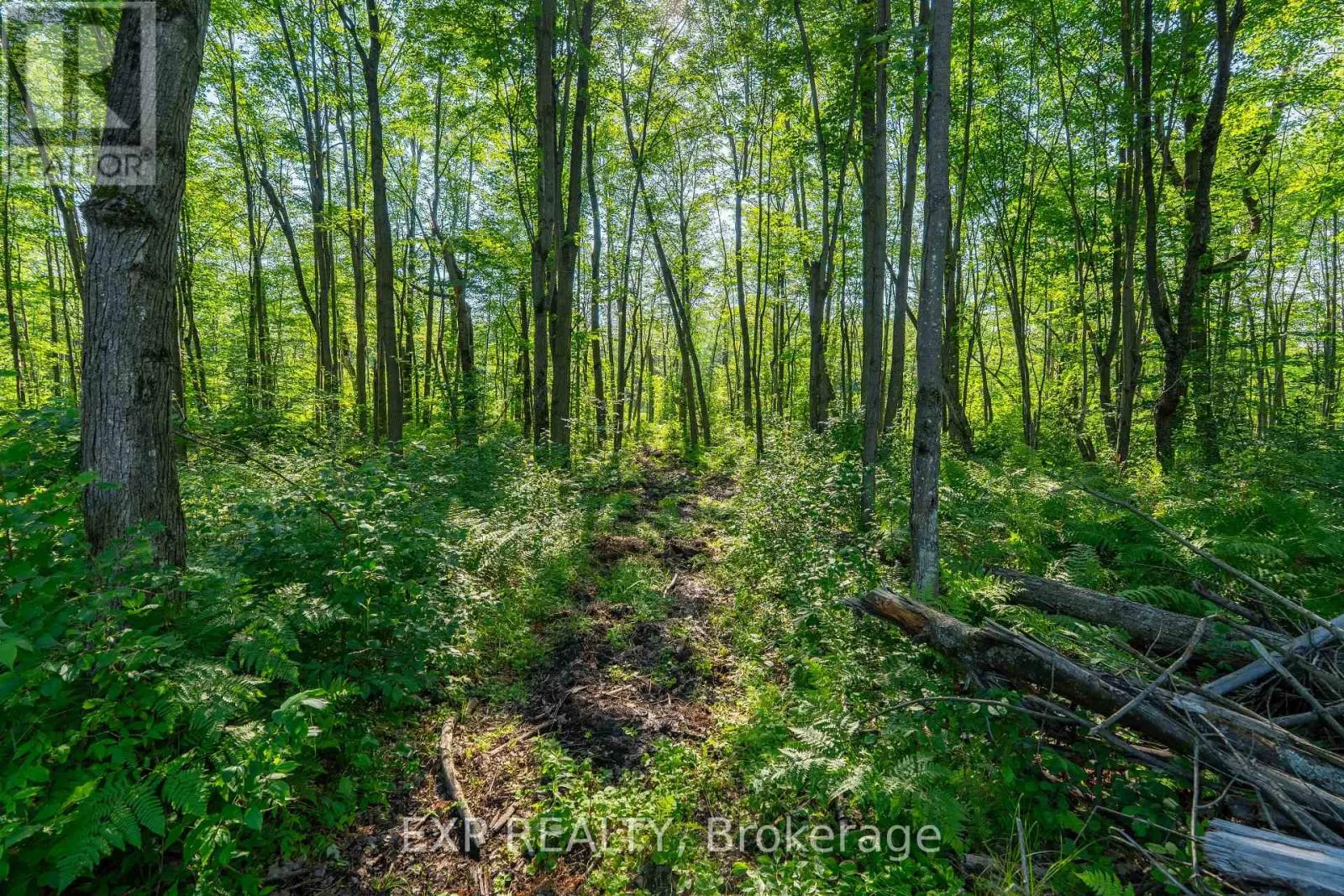 LOT 20 CONCESSION 4 ROAD