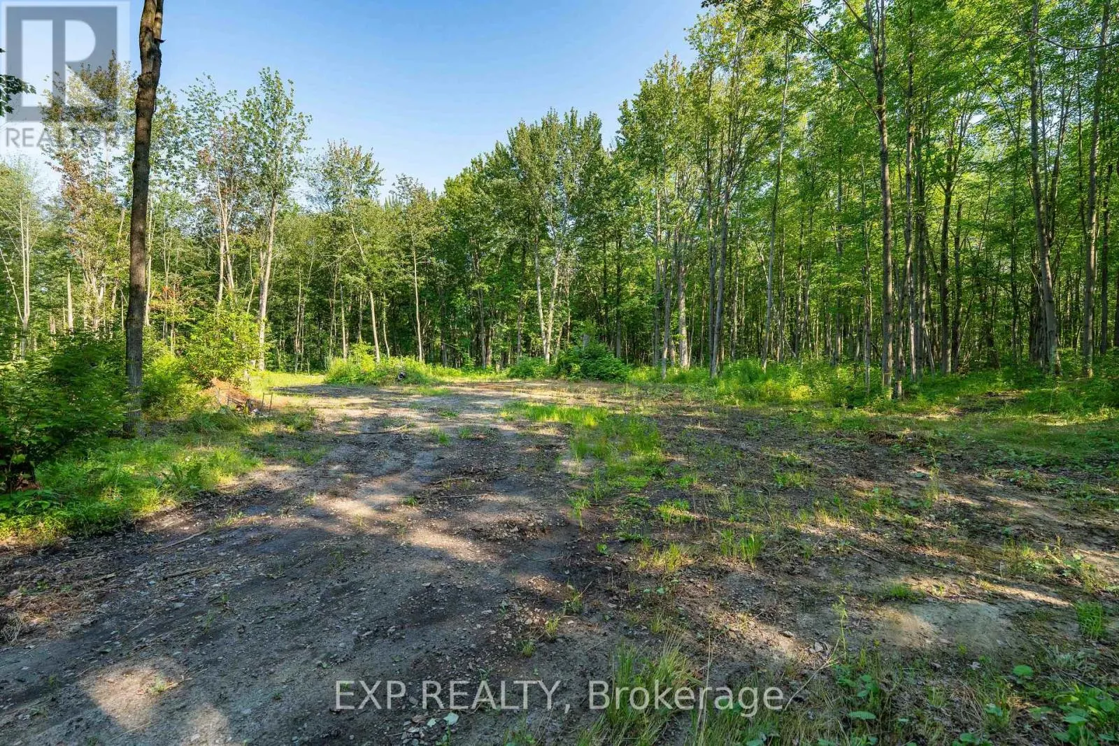 LOT 20 CONCESSION 4 ROAD