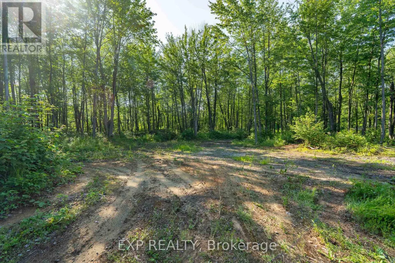 LOT 20 CONCESSION 4 ROAD
