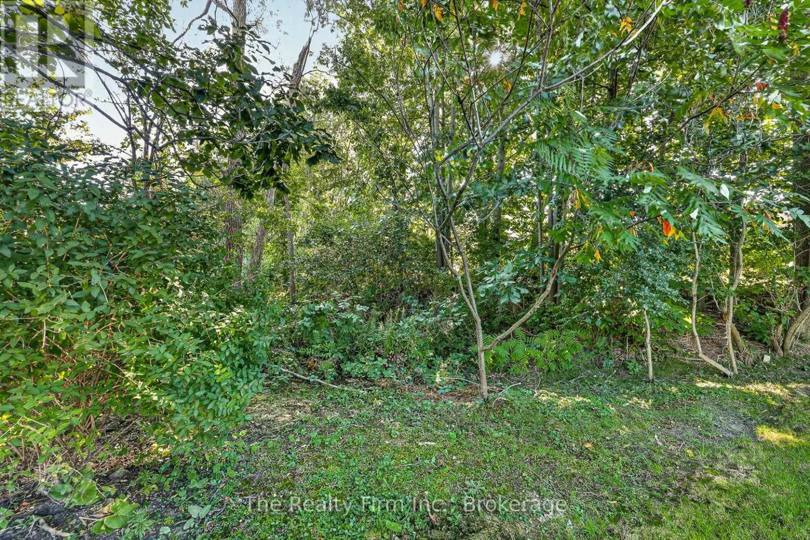 35 BEECH BOULEVARD
