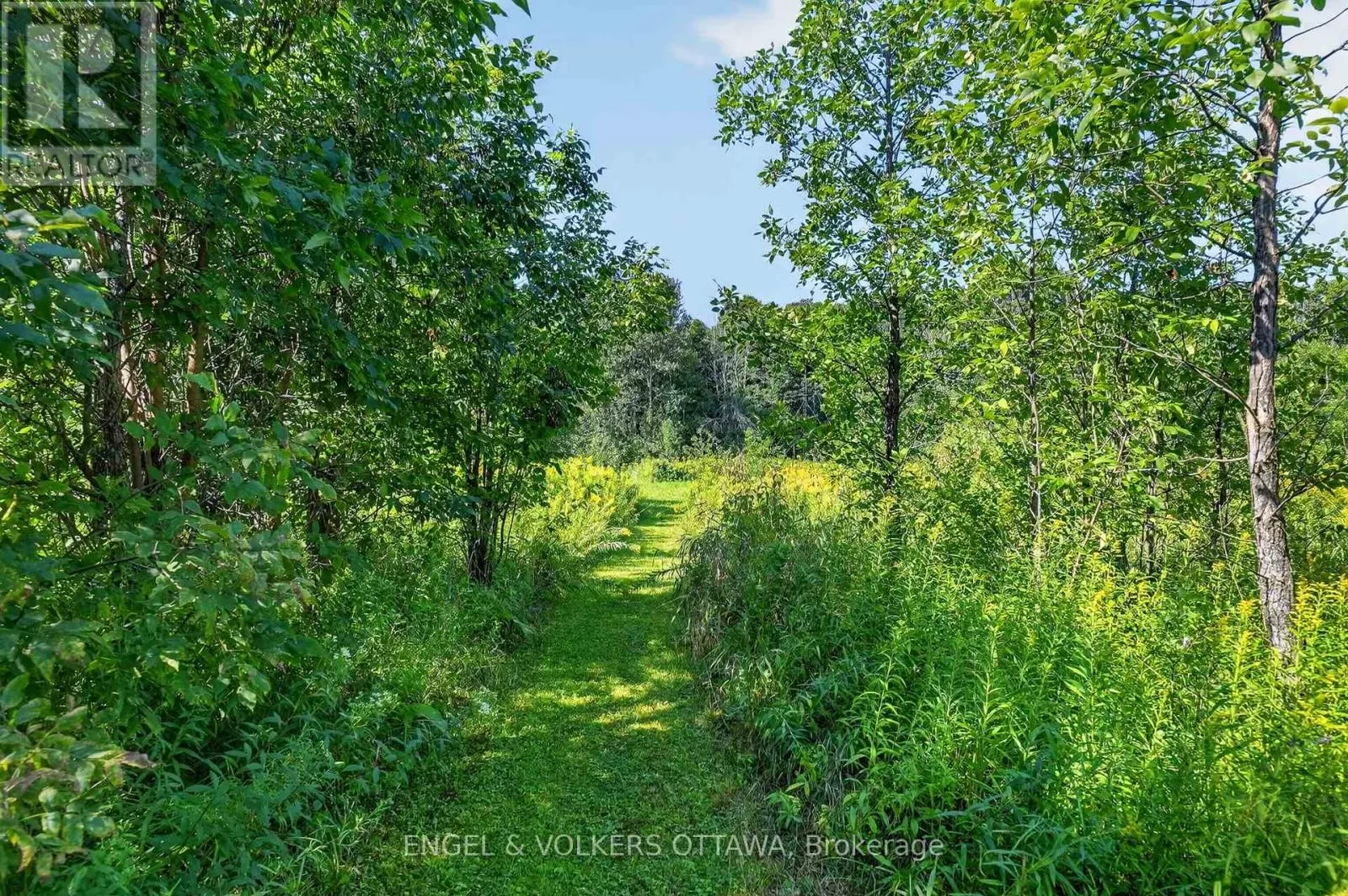 3486 TORBOLTON RIDGE ROAD