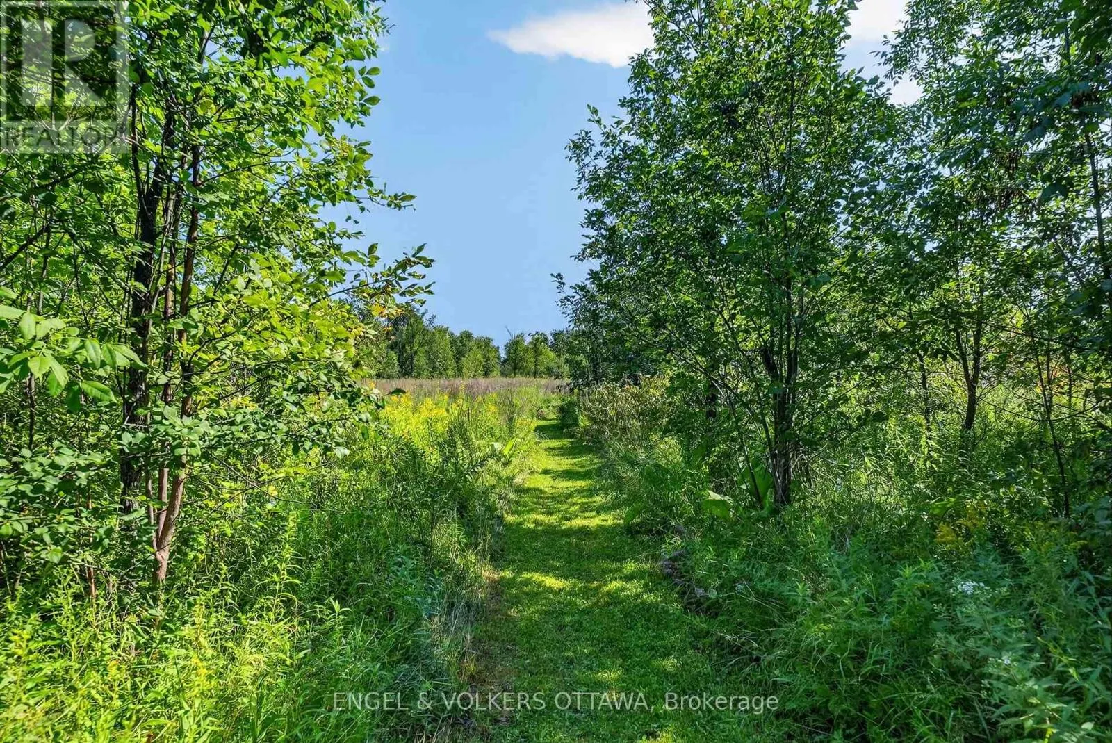 3486 TORBOLTON RIDGE ROAD