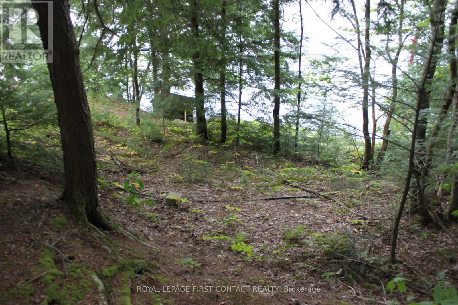 10 HEALEY LAKE ROAD