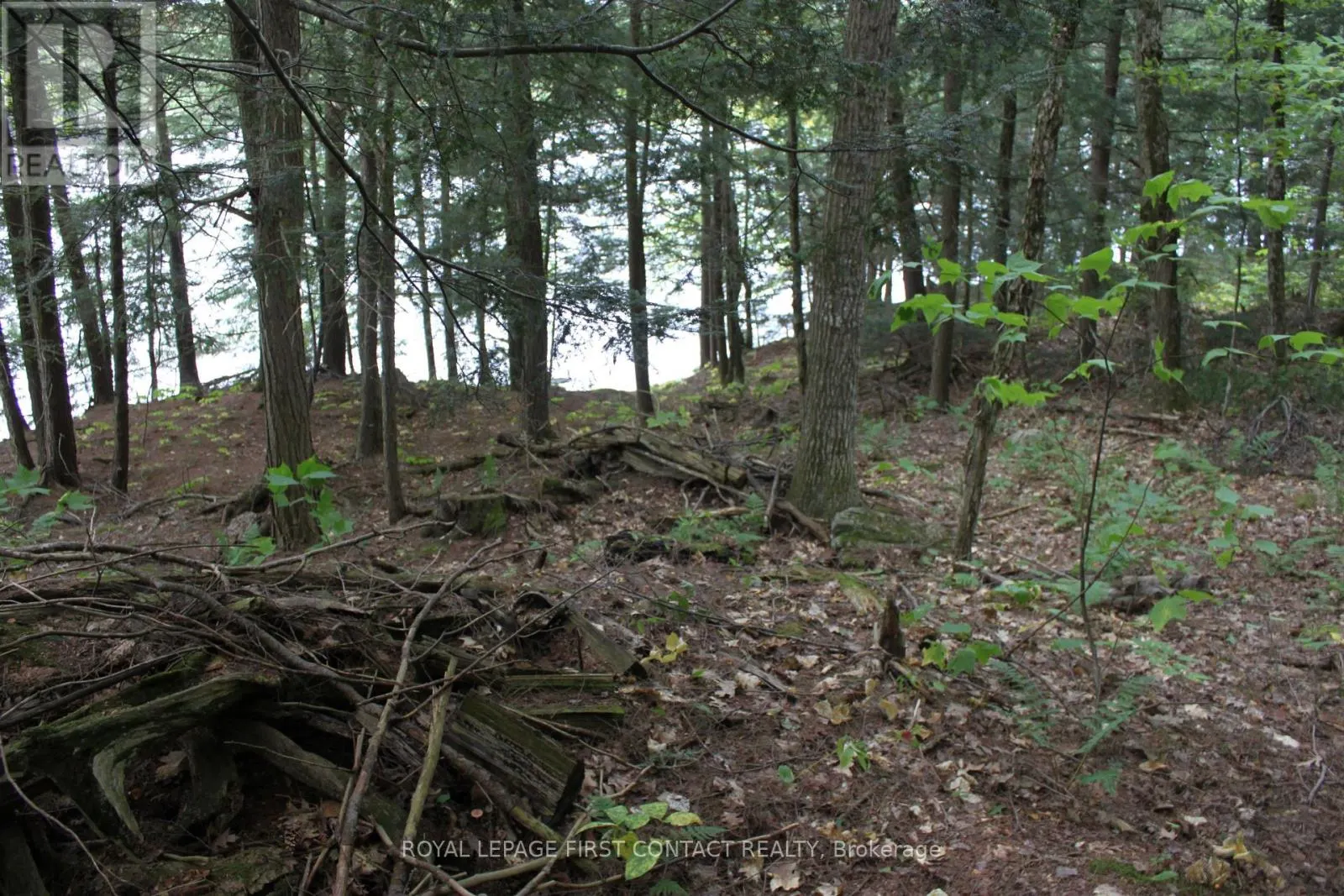 10 HEALEY LAKE ROAD