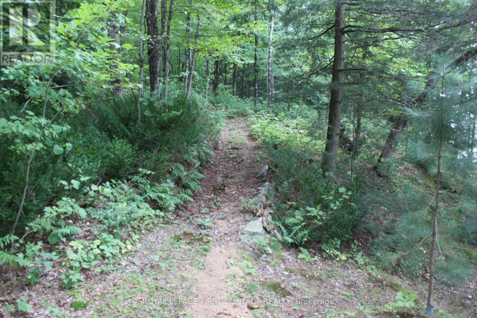 10 HEALEY LAKE ROAD