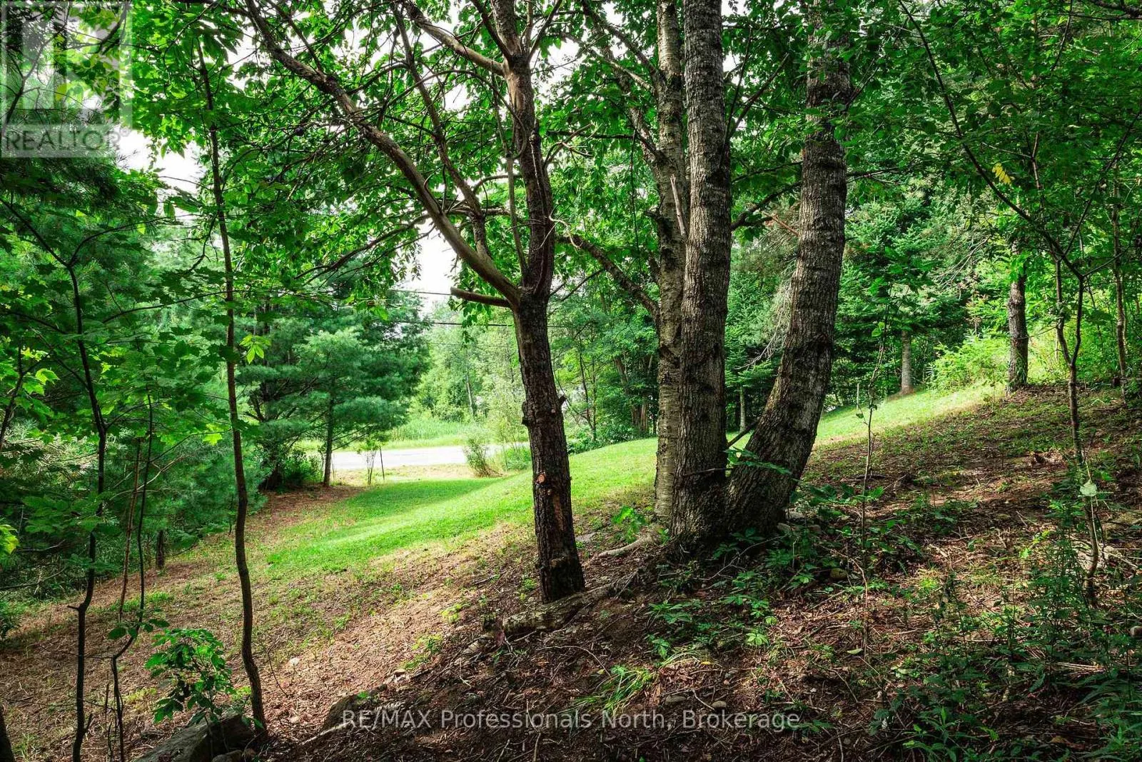 0 TOWNLINE ROAD