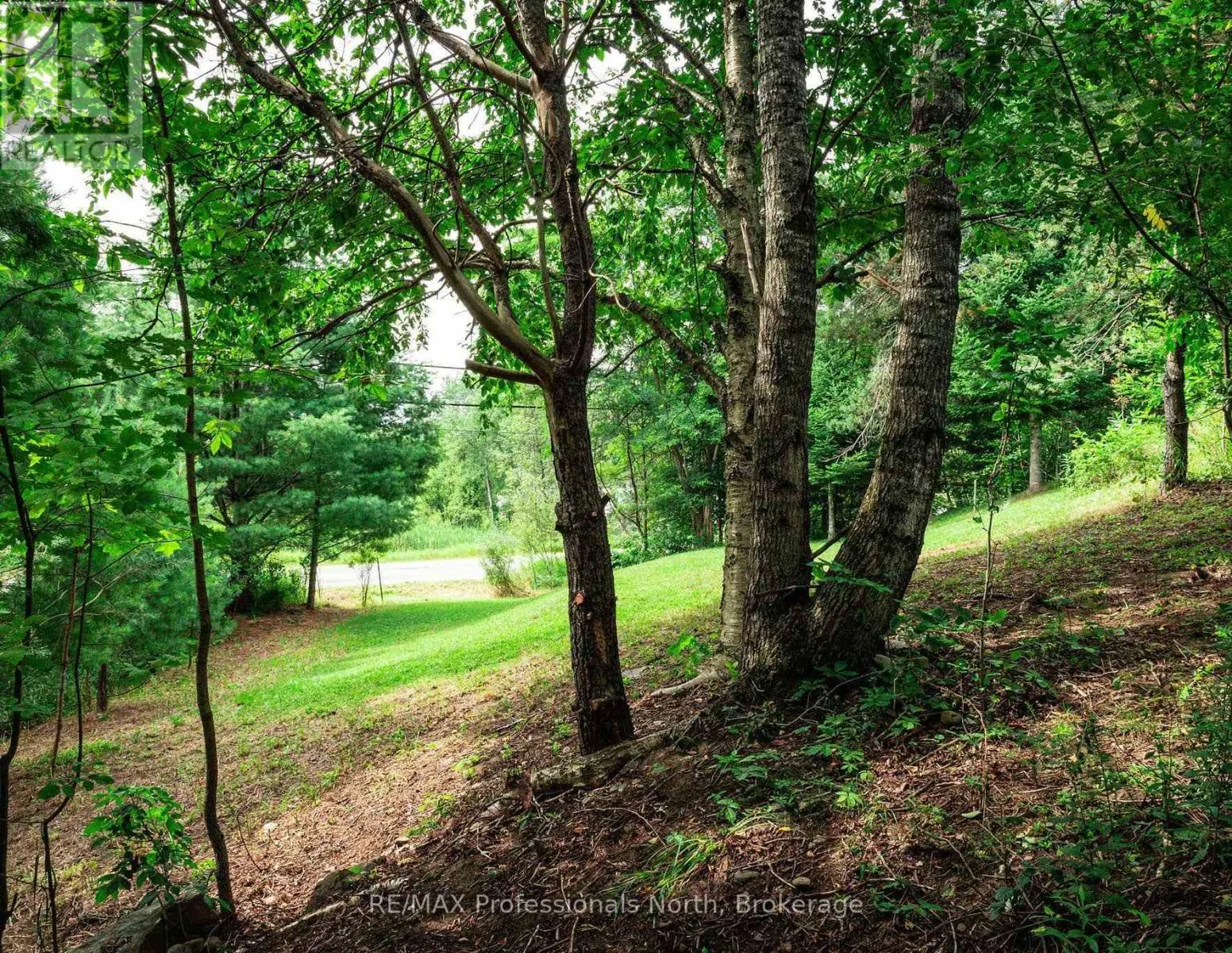 0 TOWNLINE ROAD