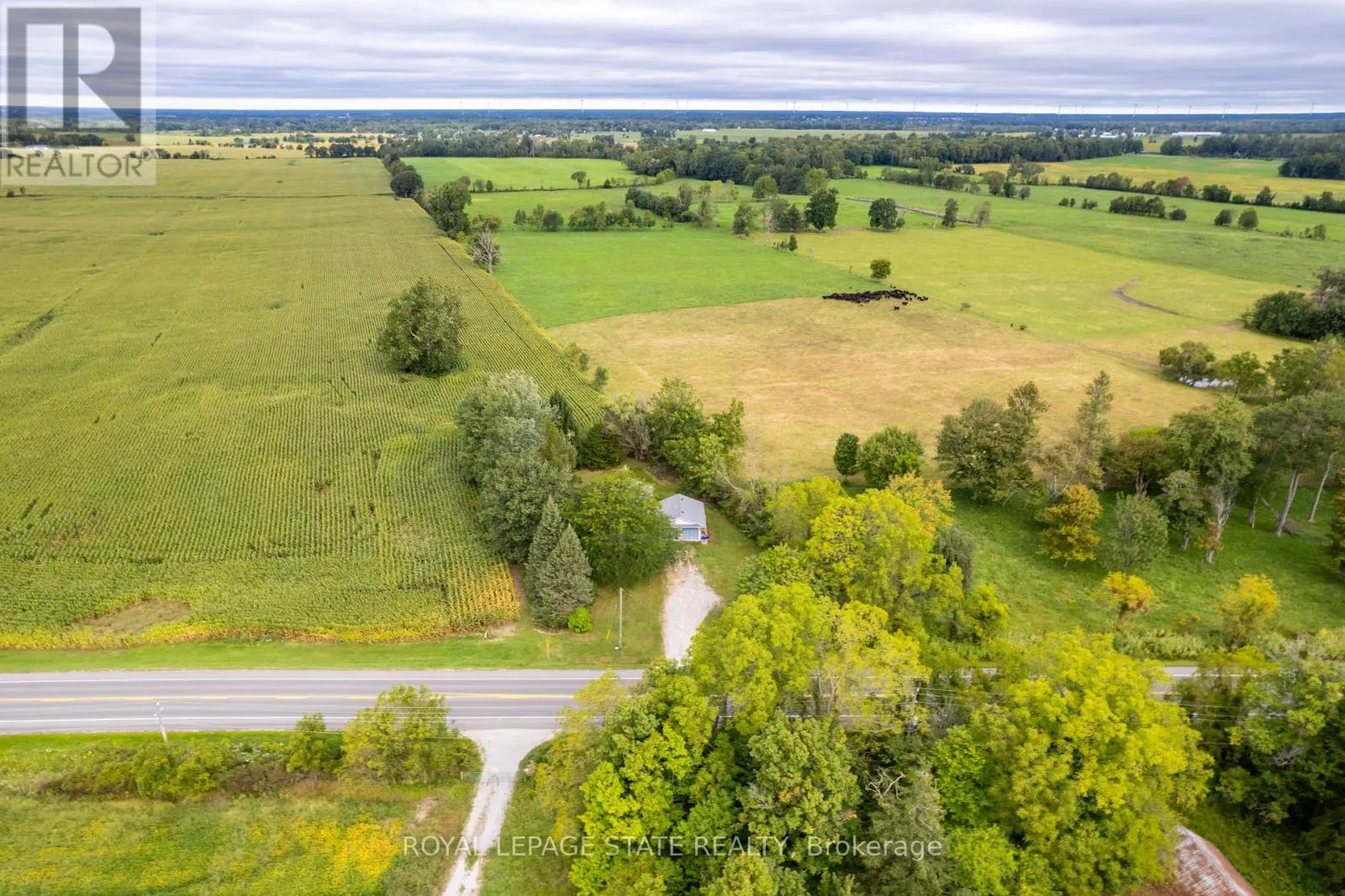 1919 HIGHWAY 3 E