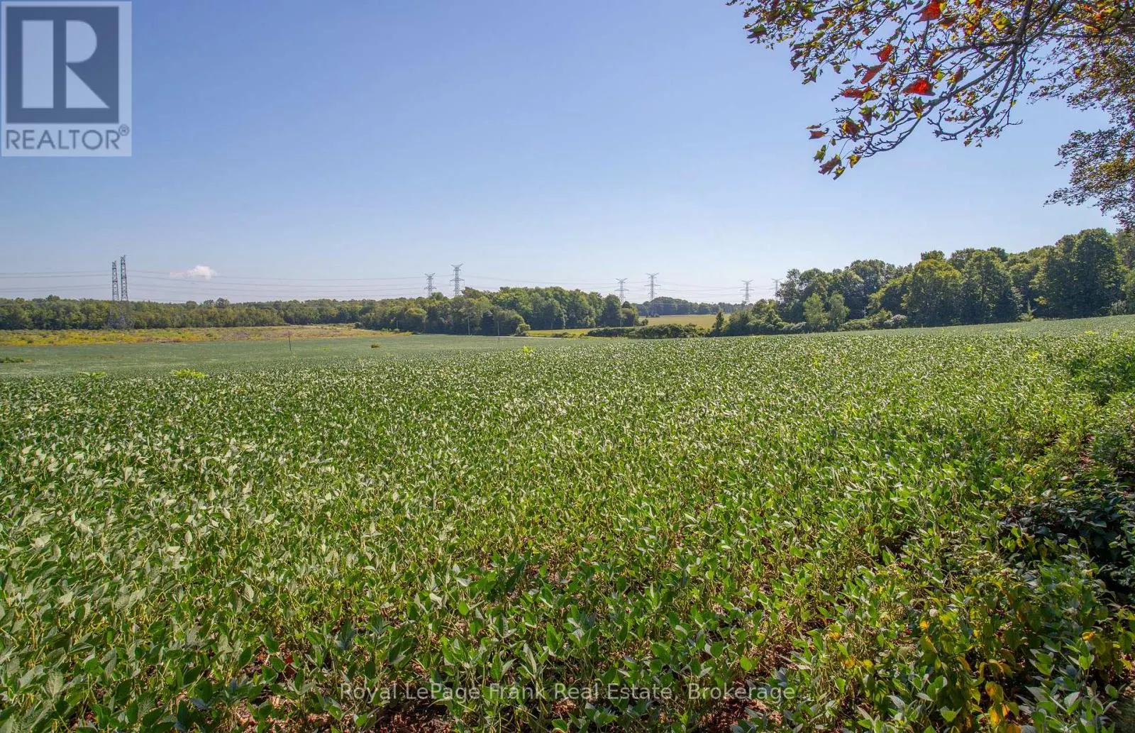 1350 4TH LINE ROAD