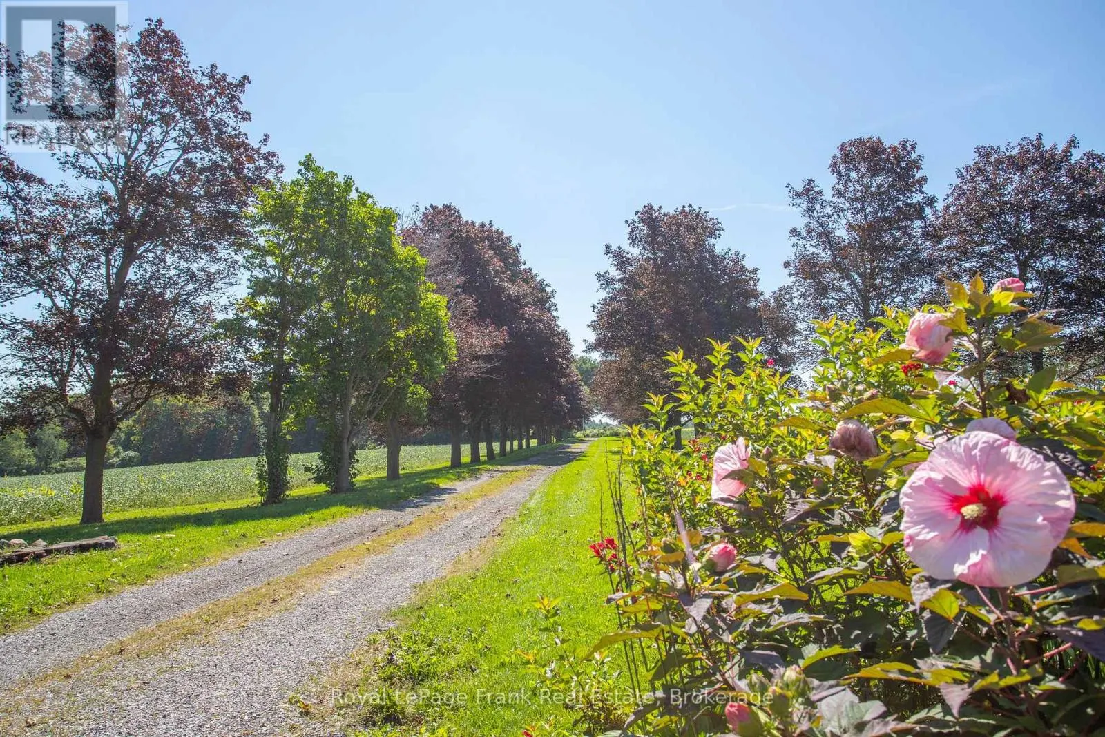 1350 4TH LINE ROAD