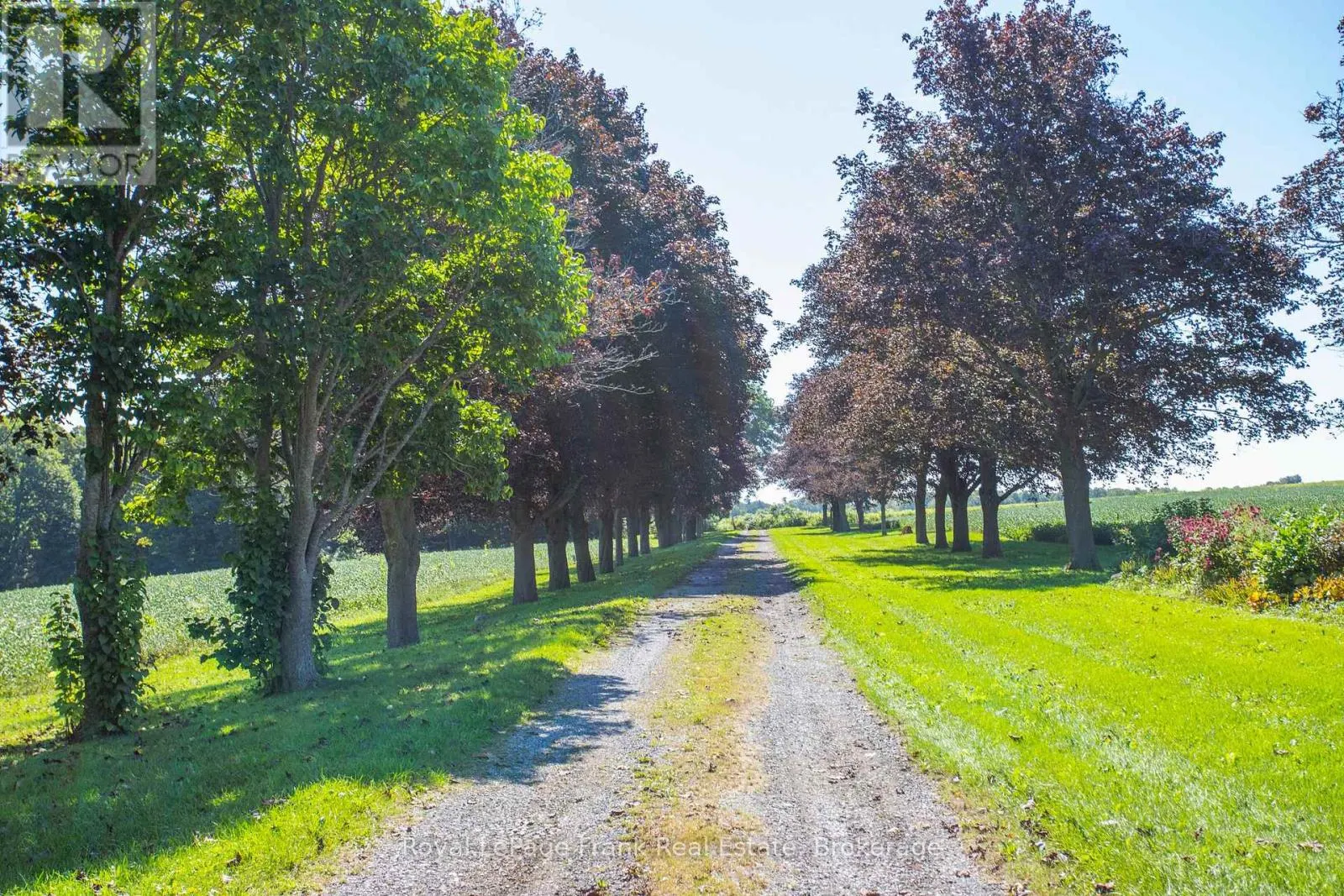 1350 4TH LINE ROAD