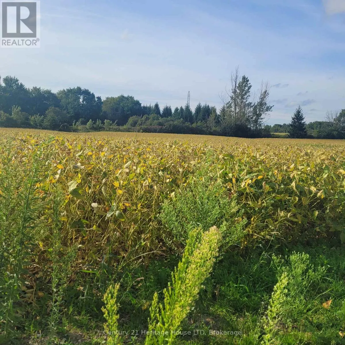 2361 MERRITTVILLE HIGHWAY