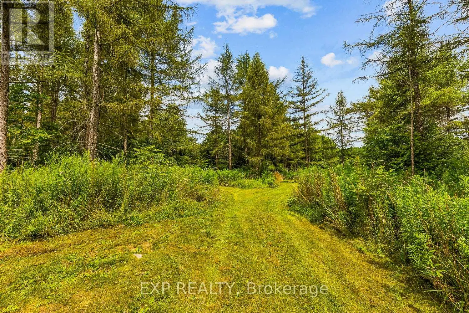 9307 SIDEROAD 9 SIDE ROAD