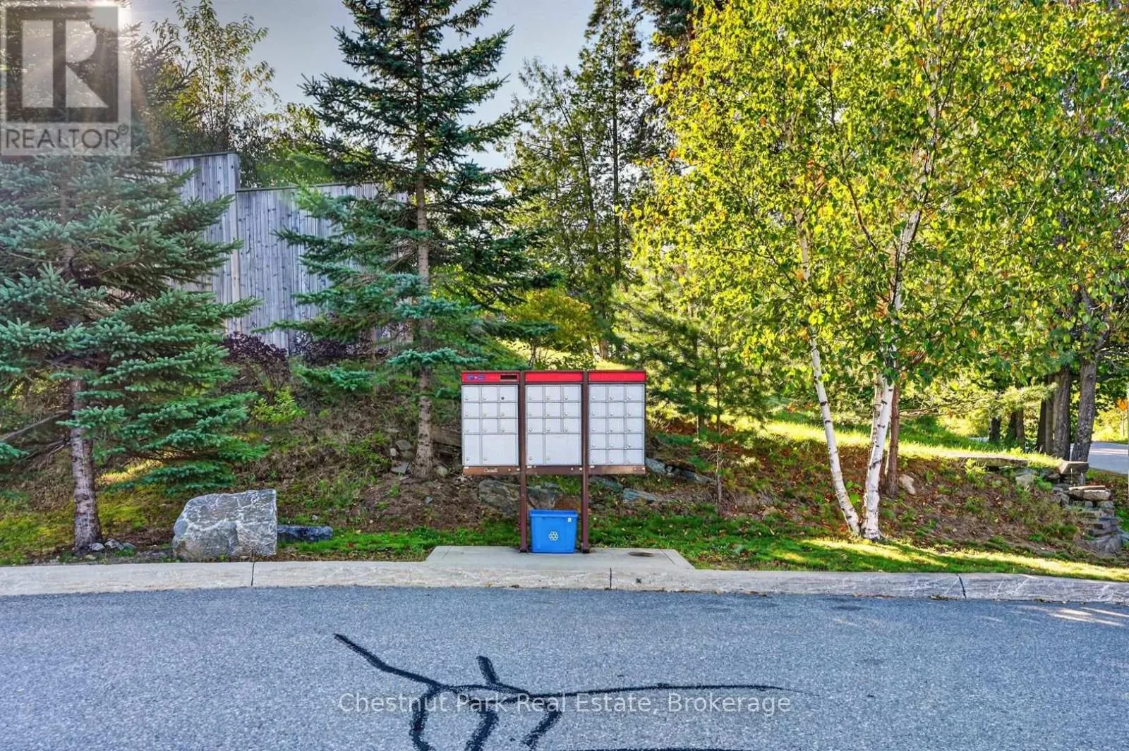 1 - 37 SILVER STREET #1