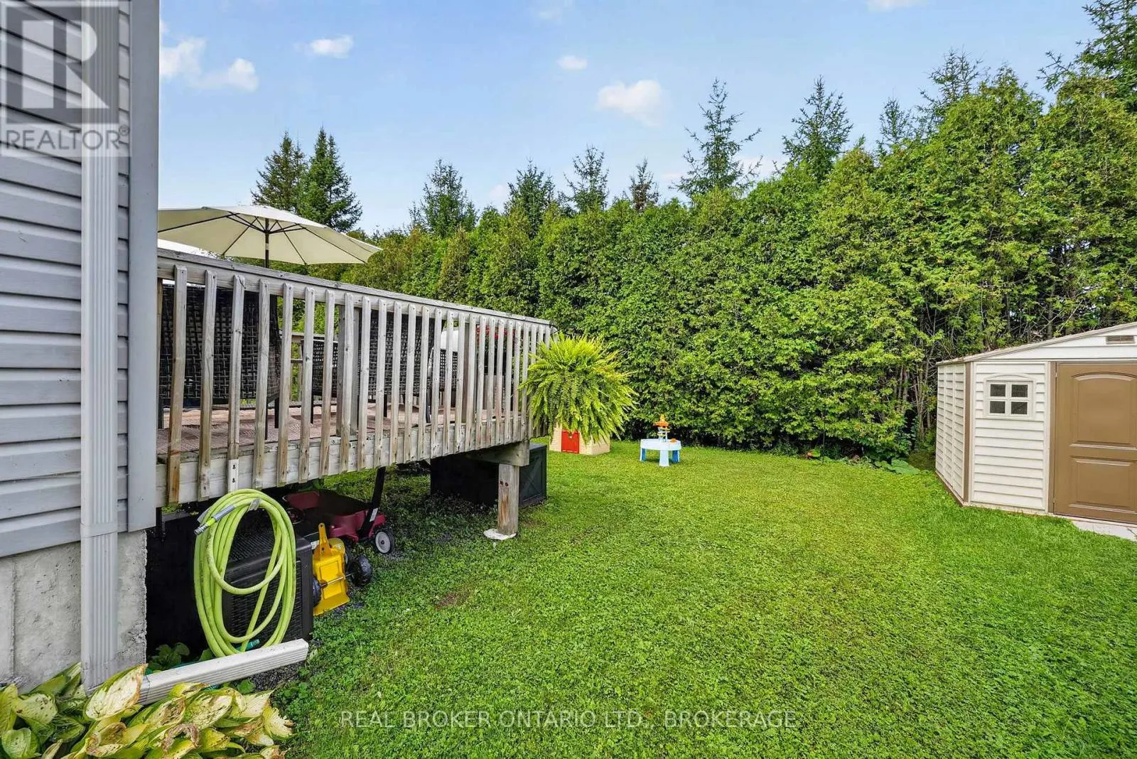 55 ABAGAIL CRESCENT