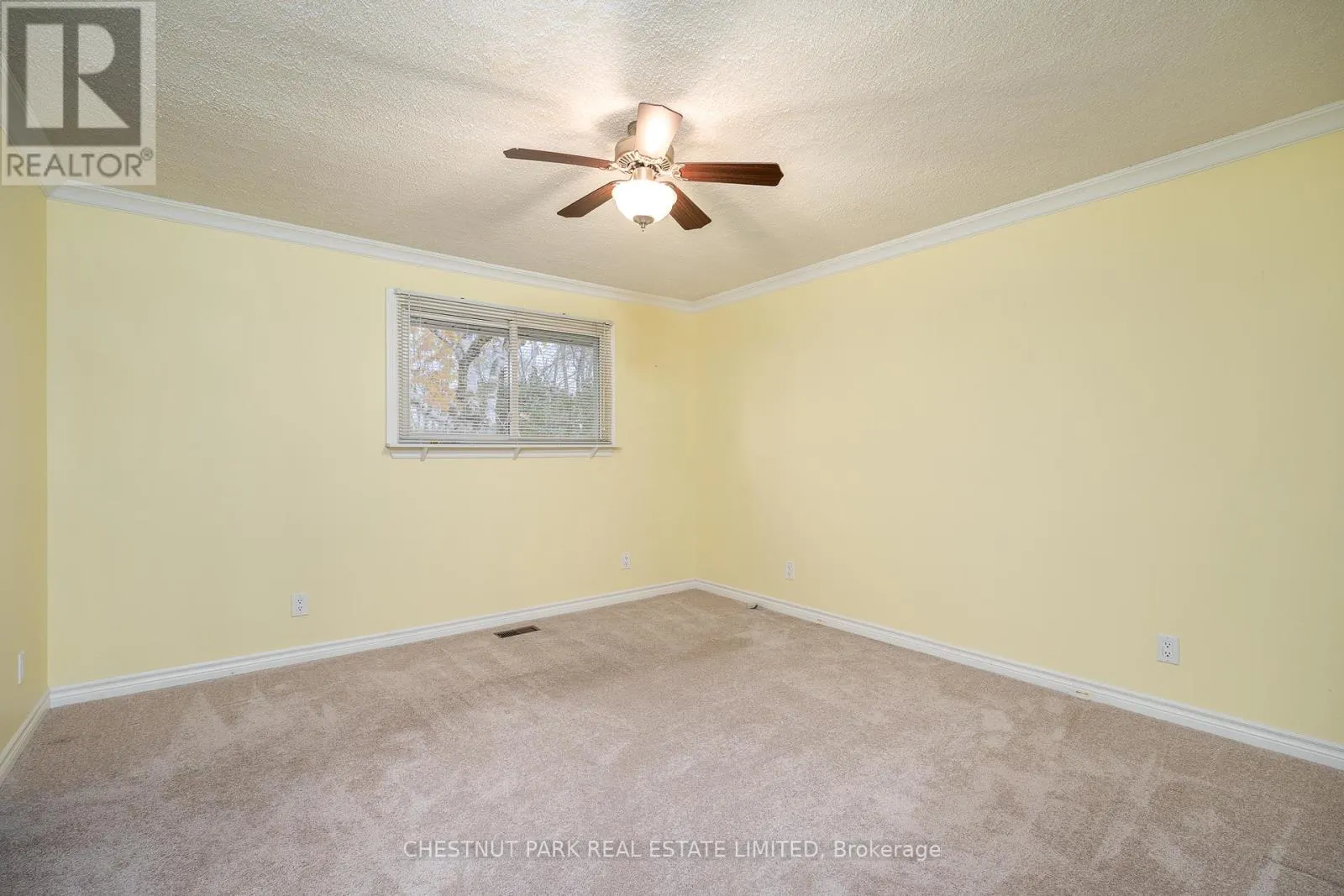 MAIN - 321 ROSEBUSH ROAD #MAIN