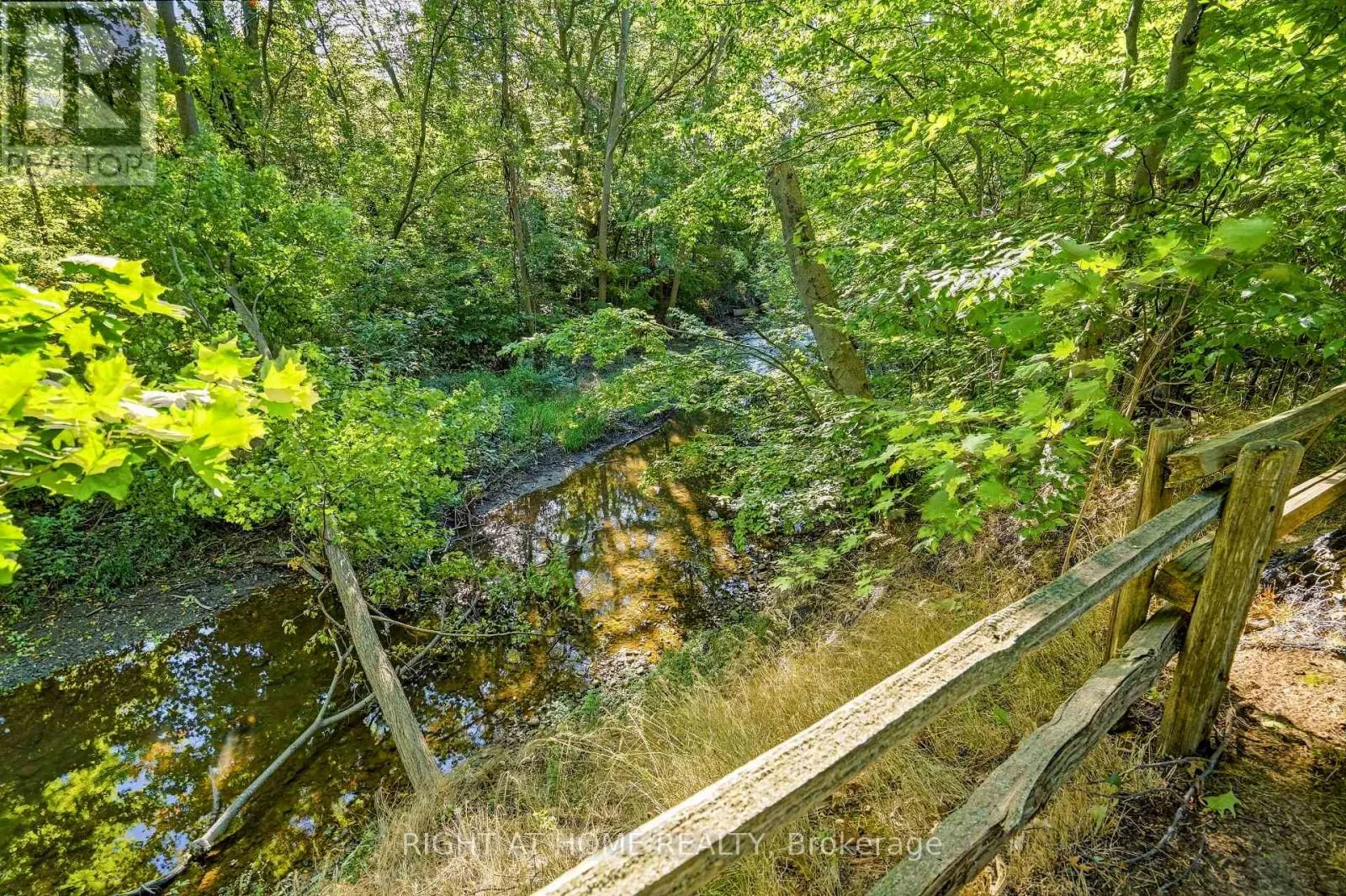 2206 FOUR MILE CREEK ROAD