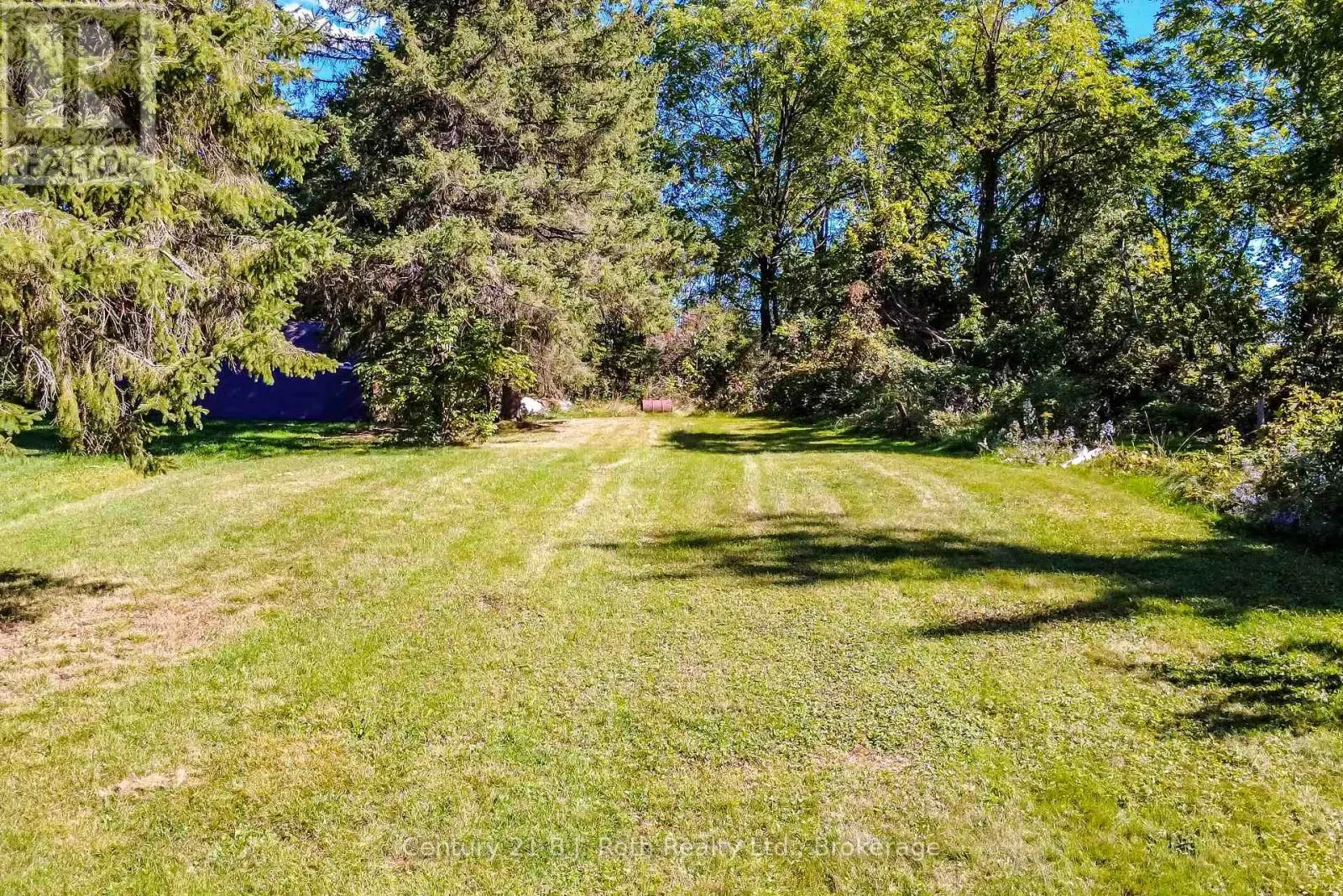 222 LAKE DALRYMPLE ROAD