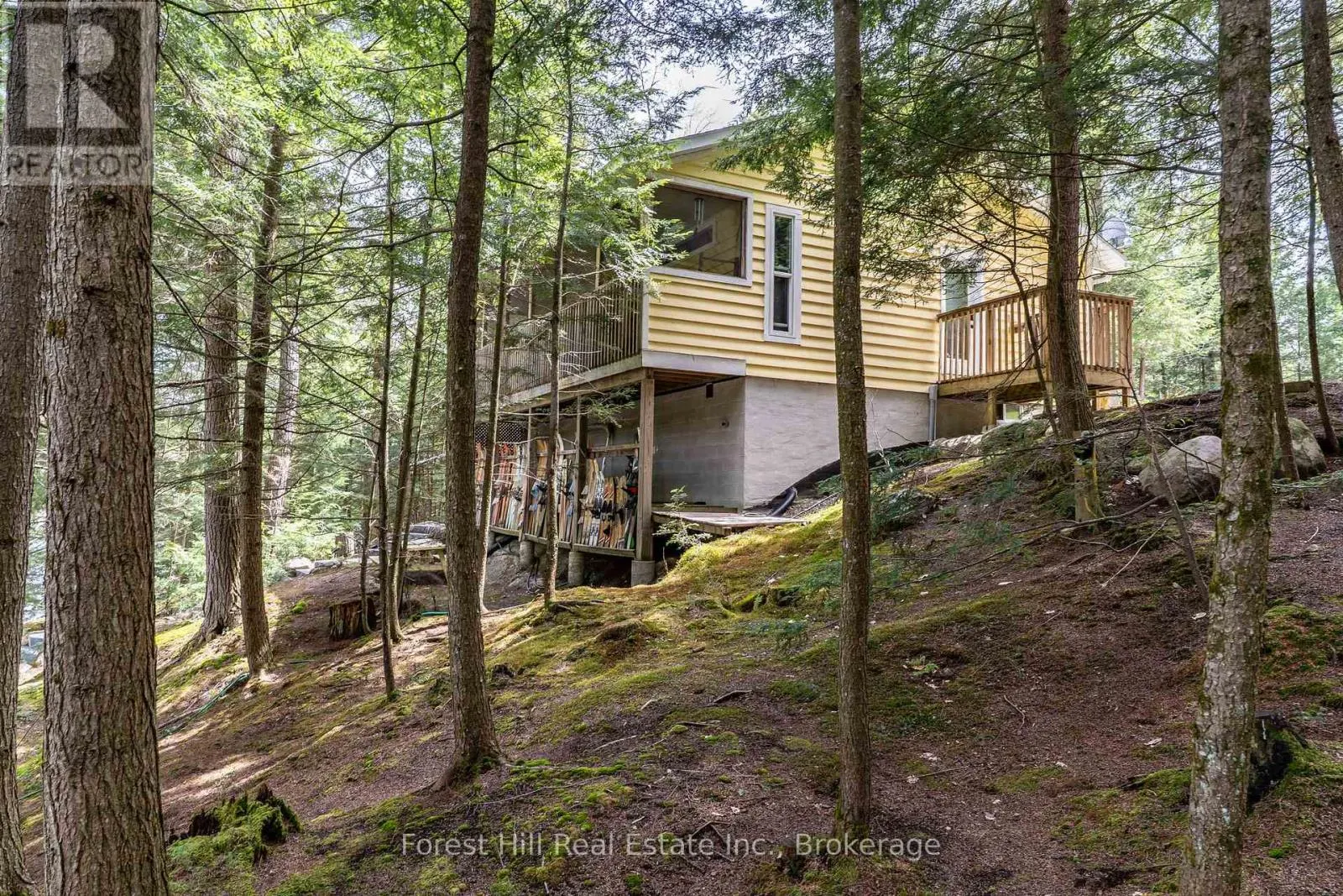 13-1630 MUSKOKA DISTRICT ROAD 38 ROAD