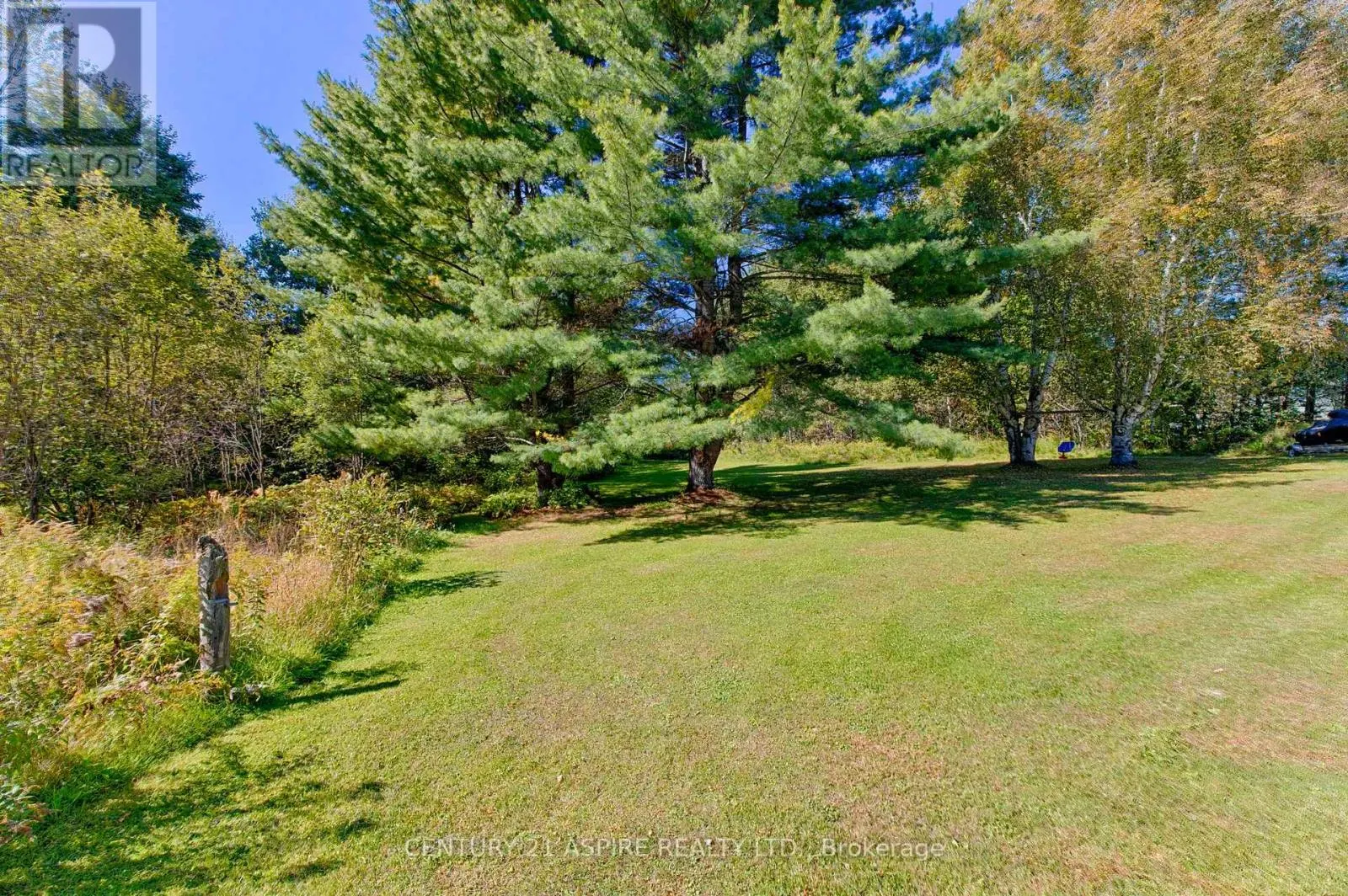 1085 FOREST LEA ROAD