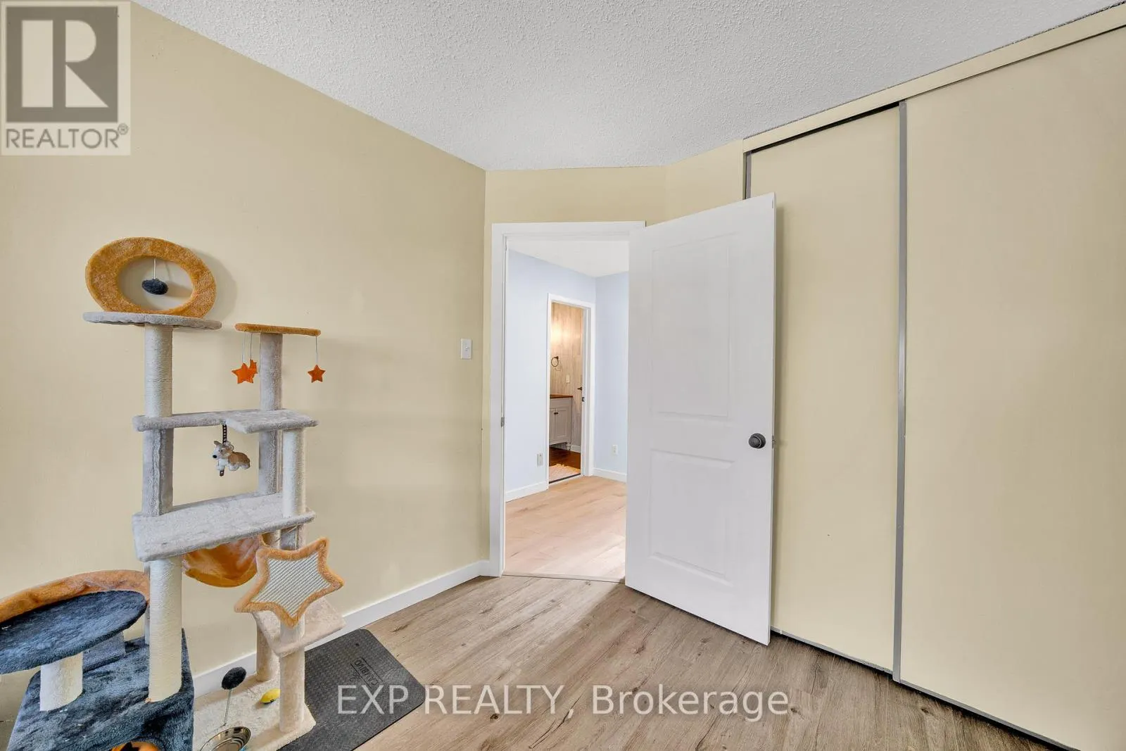 6431 TIMOTHY COURT