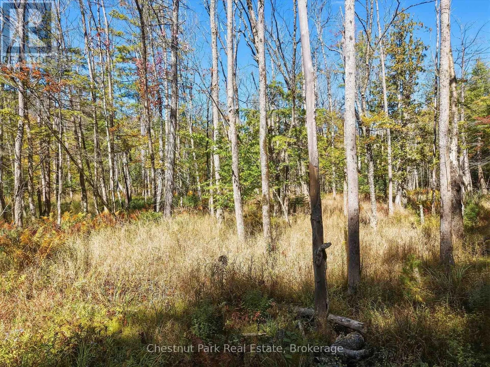 0 ESTONIAN CAMP ROAD