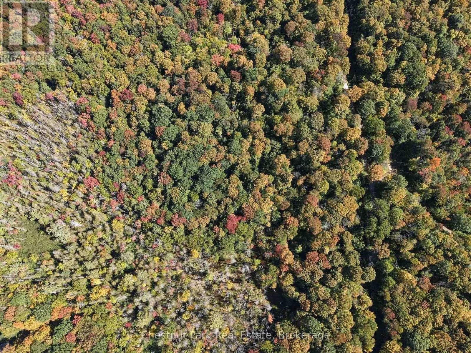 0 ESTONIAN CAMP ROAD