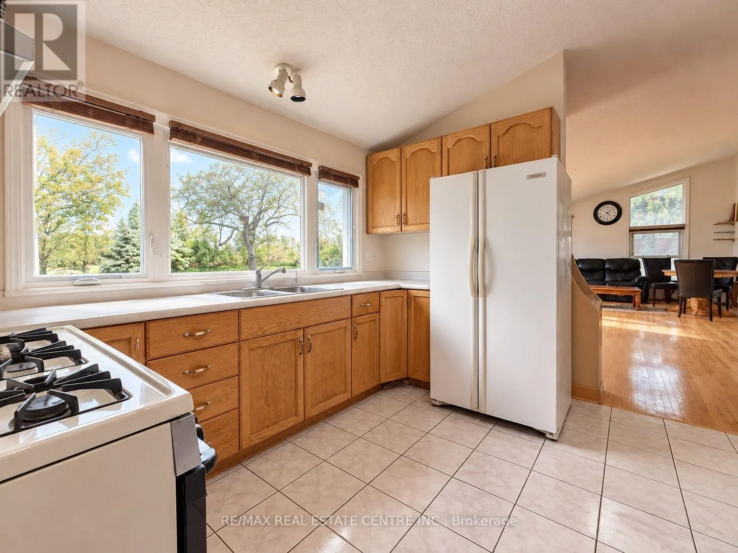 491 ELMIRA ROAD N