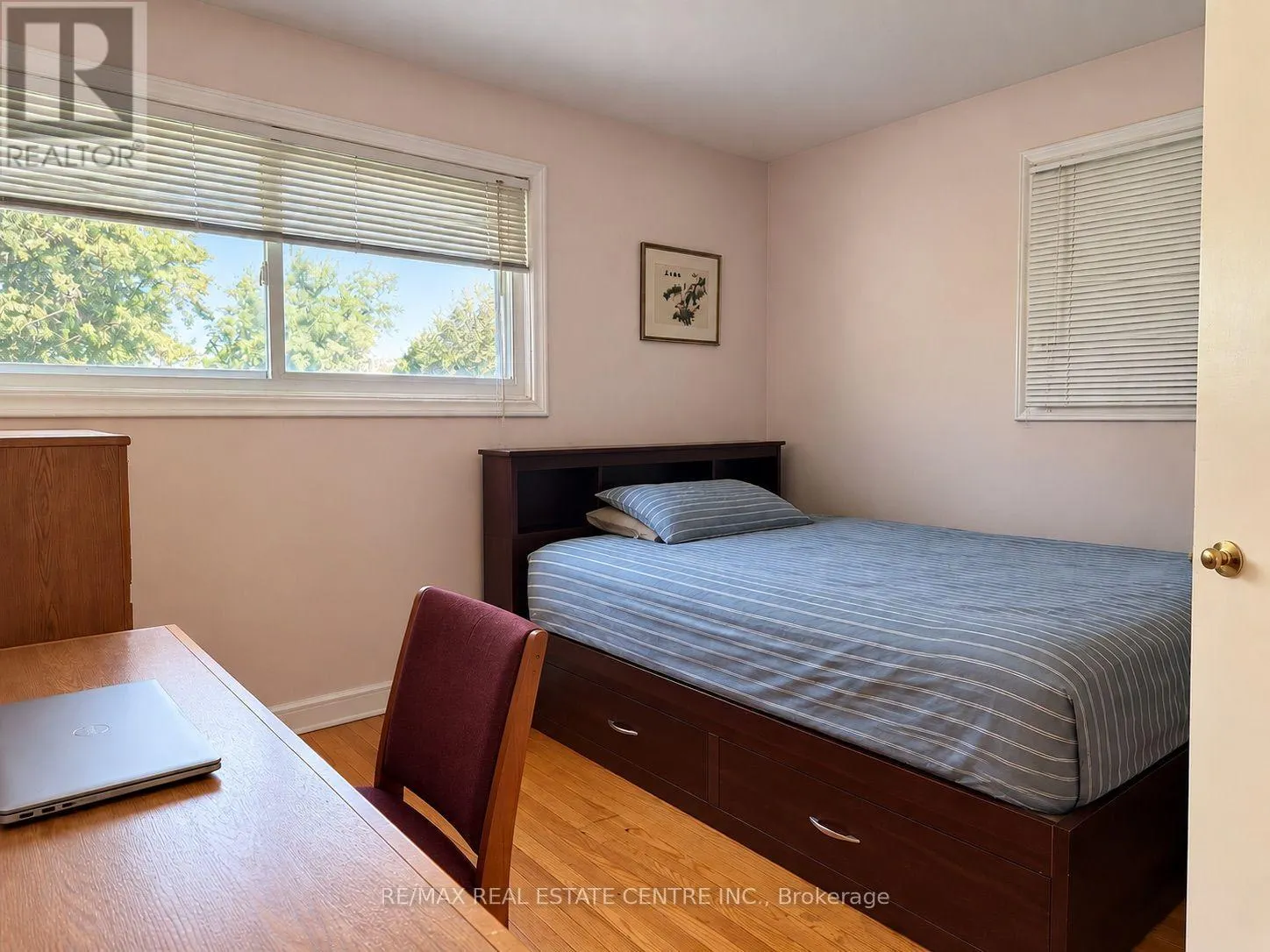 491 ELMIRA ROAD N