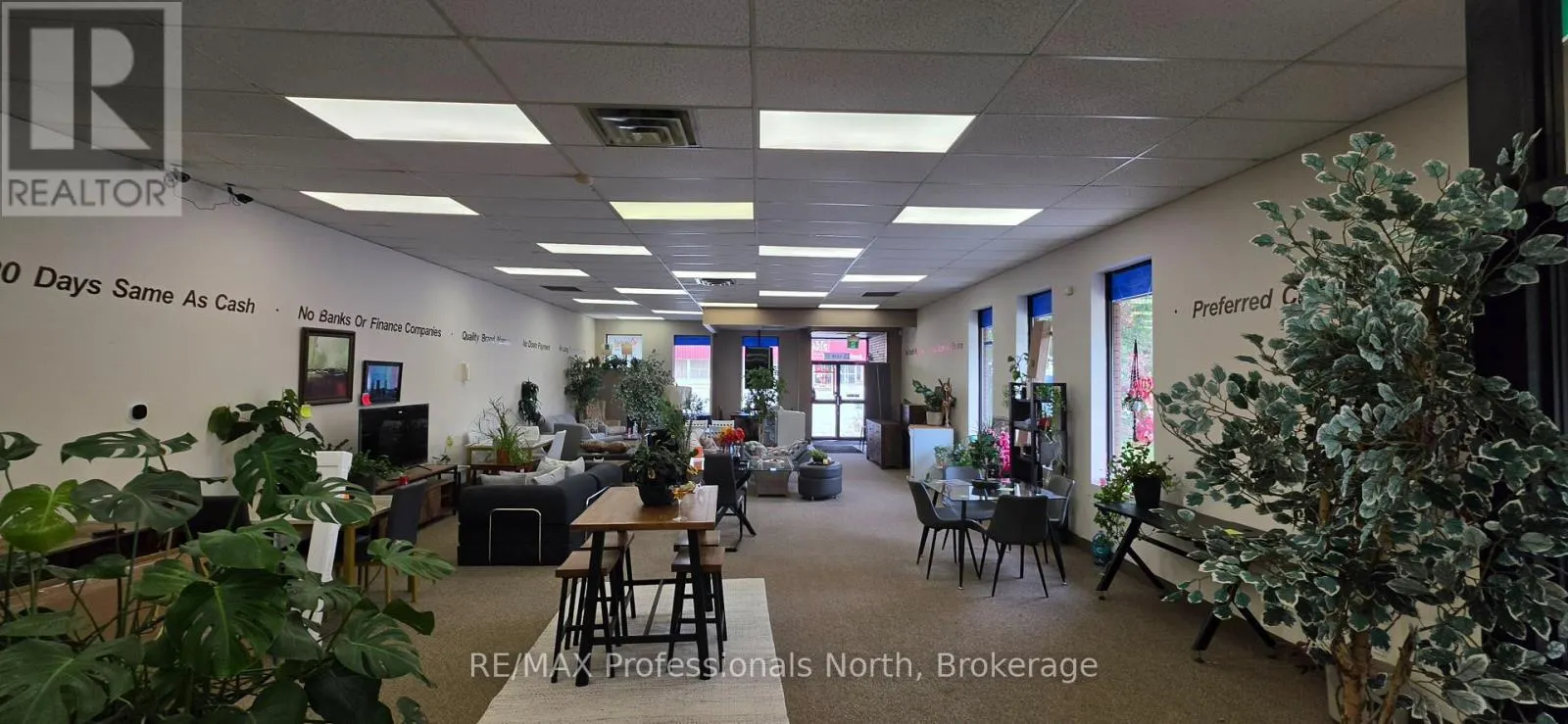 15 CANN STREET