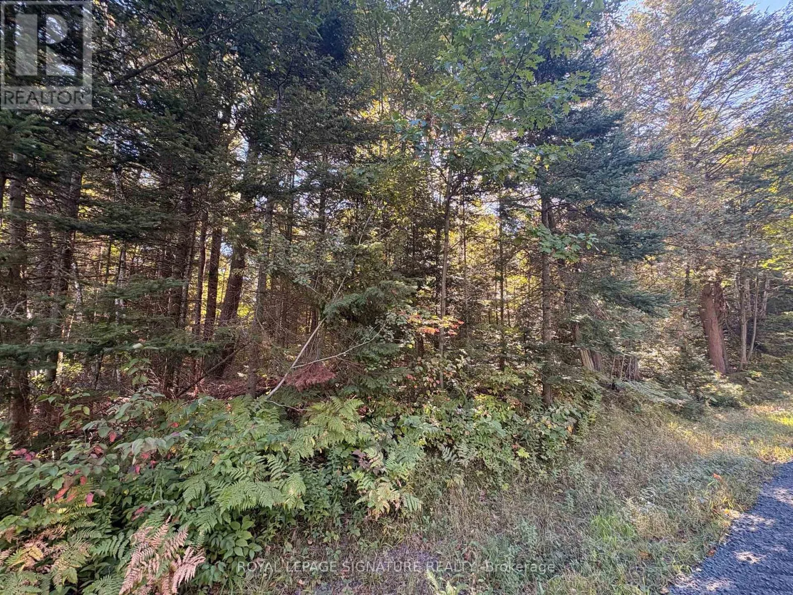 63 BUNNY TRAIL