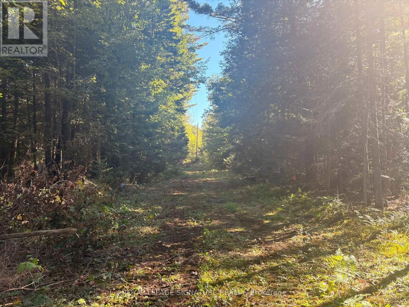 63 BUNNY TRAIL