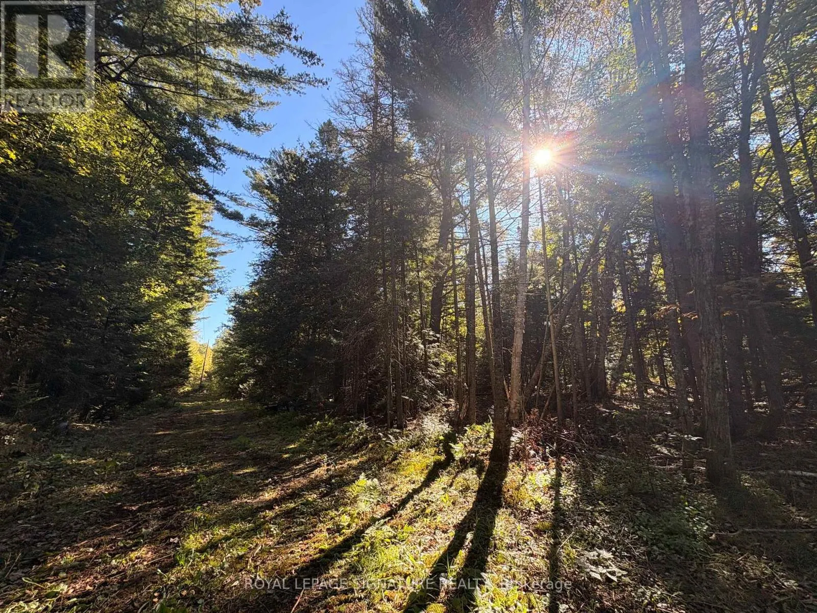 63 BUNNY TRAIL
