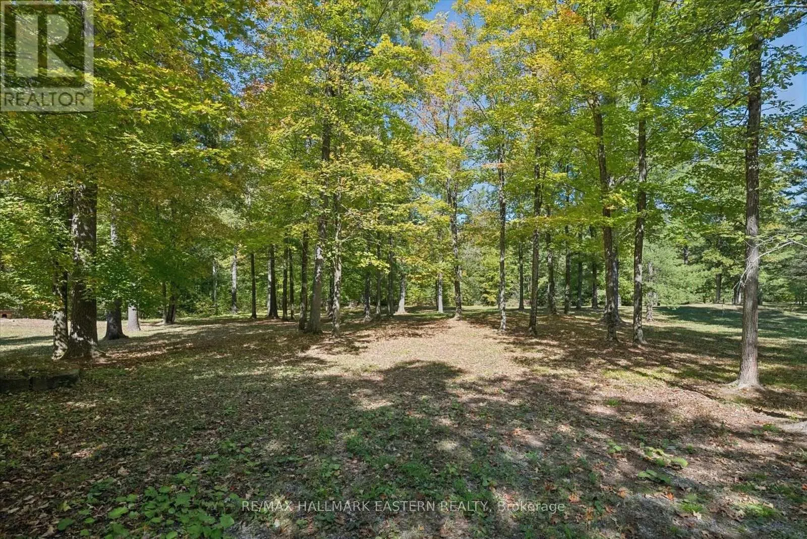 778 EIGHTH LINE ROAD S
