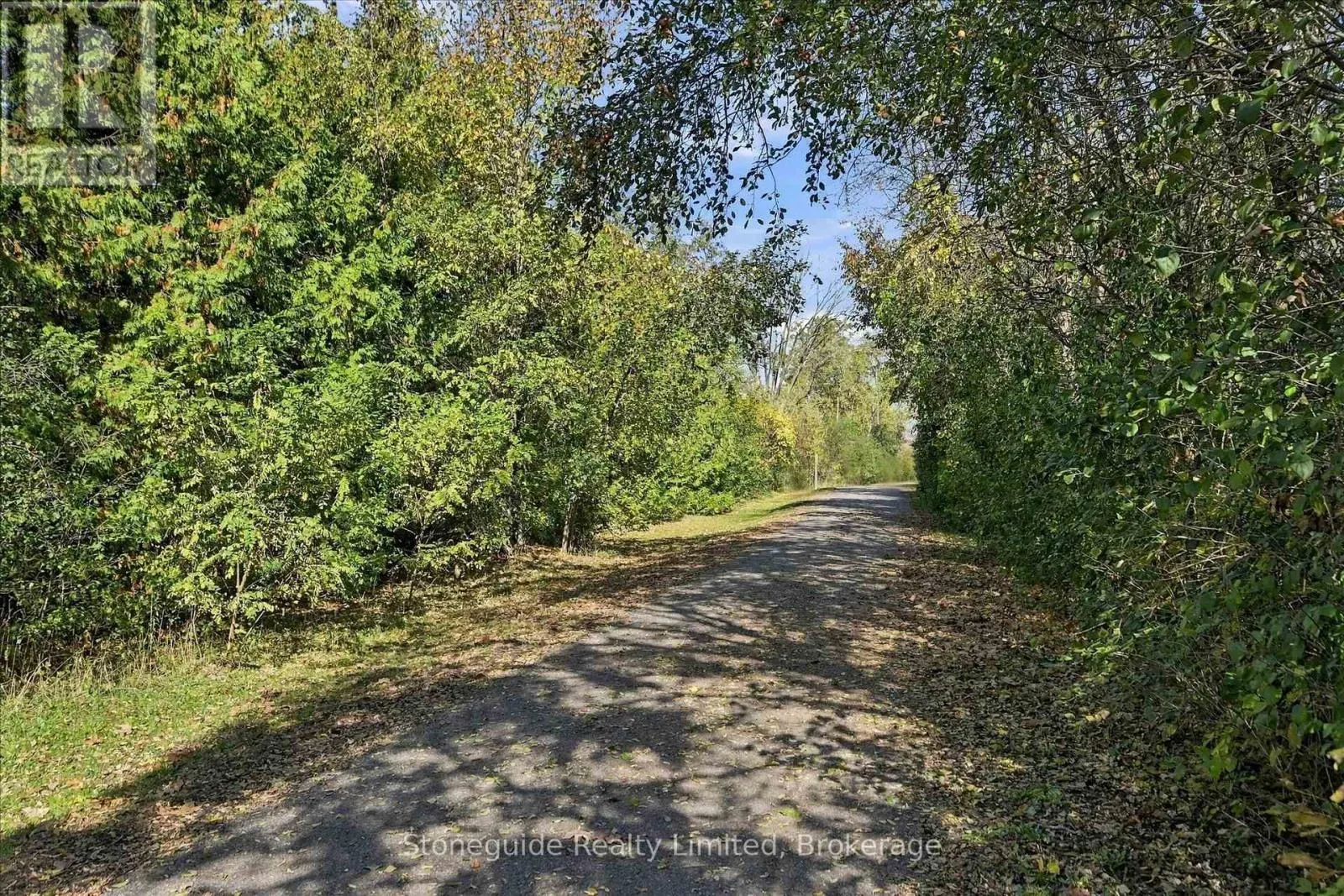 10 - 21 PADDOCK WOOD #10